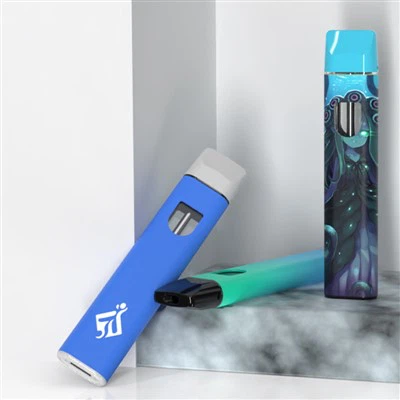 Veleprodajna cijena Prilagođena 510 E cigareta Keramička zavojnica Jednokratna Vape olovka Pakiranje 1ml 2ml Oil Pod prazan Vape Cartridge za CBD THC HHC destilat