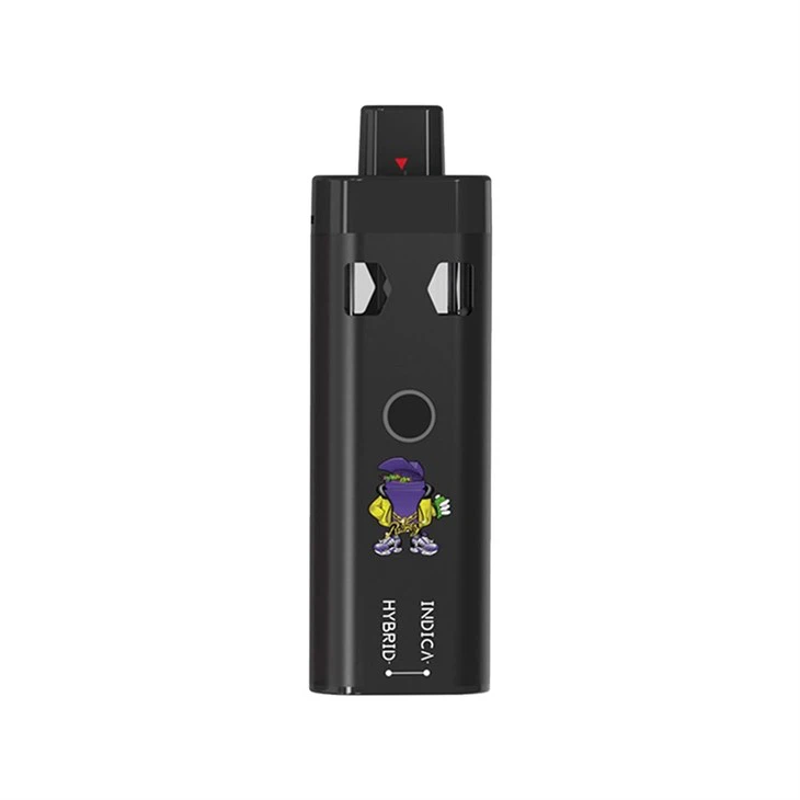 USA Most Popular 2G/4G/6G Empty CBD/THC/HHC Rechargeable Disposable Vaping Pen With 2 Oil Cup
